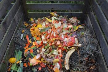 box with green waste