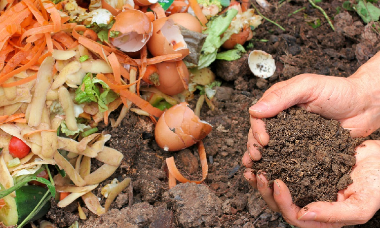 compost soil