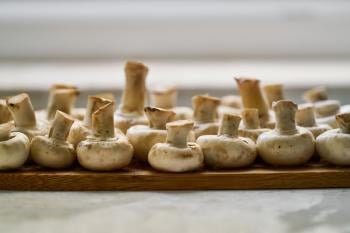 Organic Mushrooms: 3 Recipes that Will Make your Mouth Water 