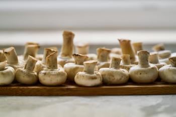 Organic Mushrooms: 3 Recipes that Will Make your Mouth Water