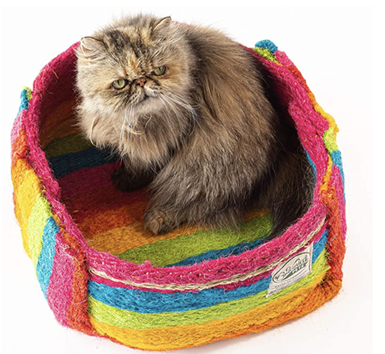 Captura de pantalla 2022-01-07 a la(s) 14.00.23 2