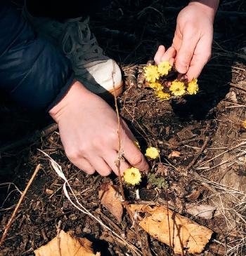 Smelly Compost? How to Control Bad Smell on Your Compost
