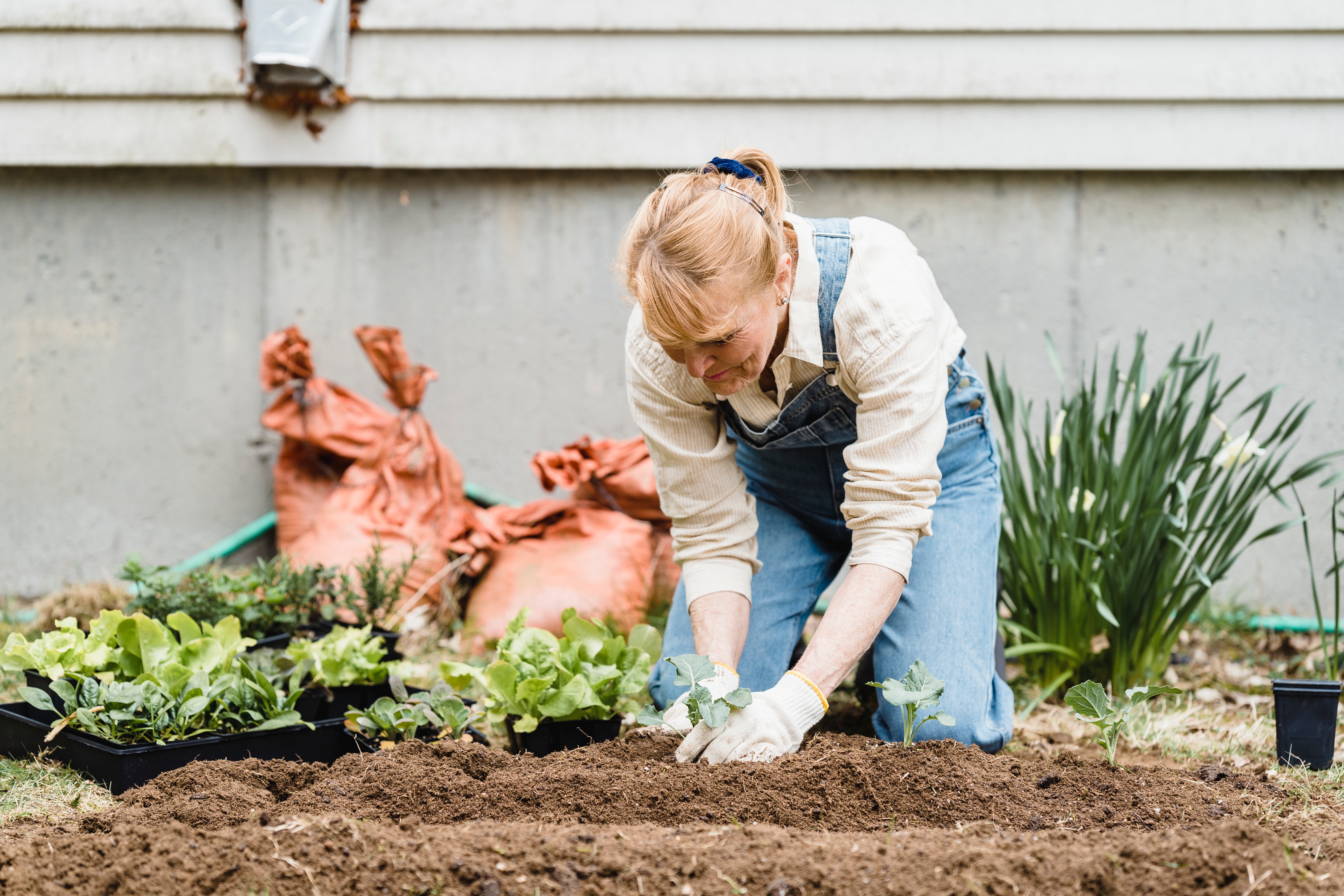 There\'s a woman who\'s gardening and planting some plants.