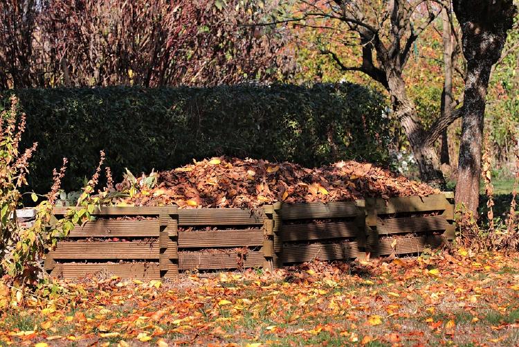 pallets full of brown leaves 