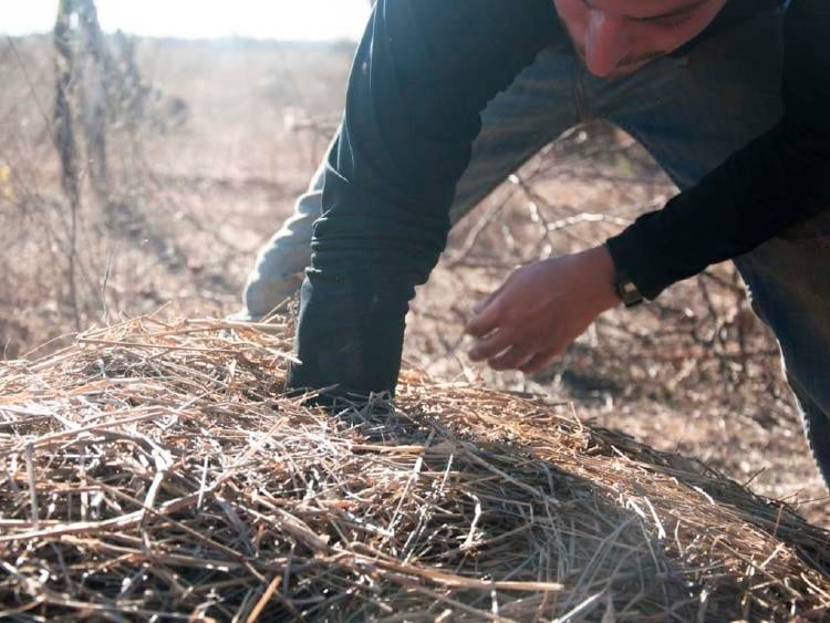 dsc_0403 Temperature check in hot compost.