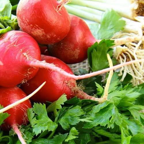 61PHQTfVBnL._AC_ 61PHQTfVBnL._AC_