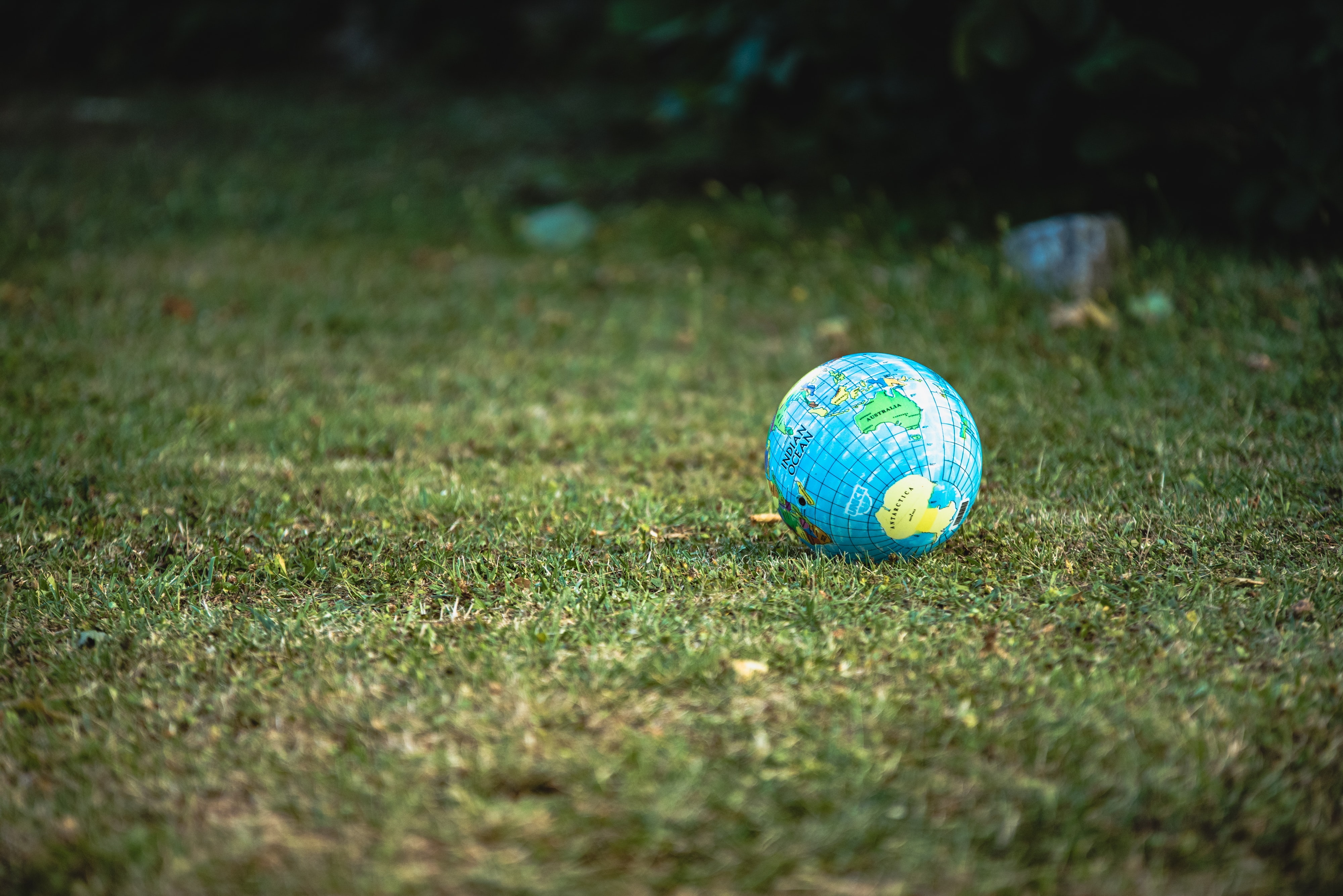 A globe laying on the grass