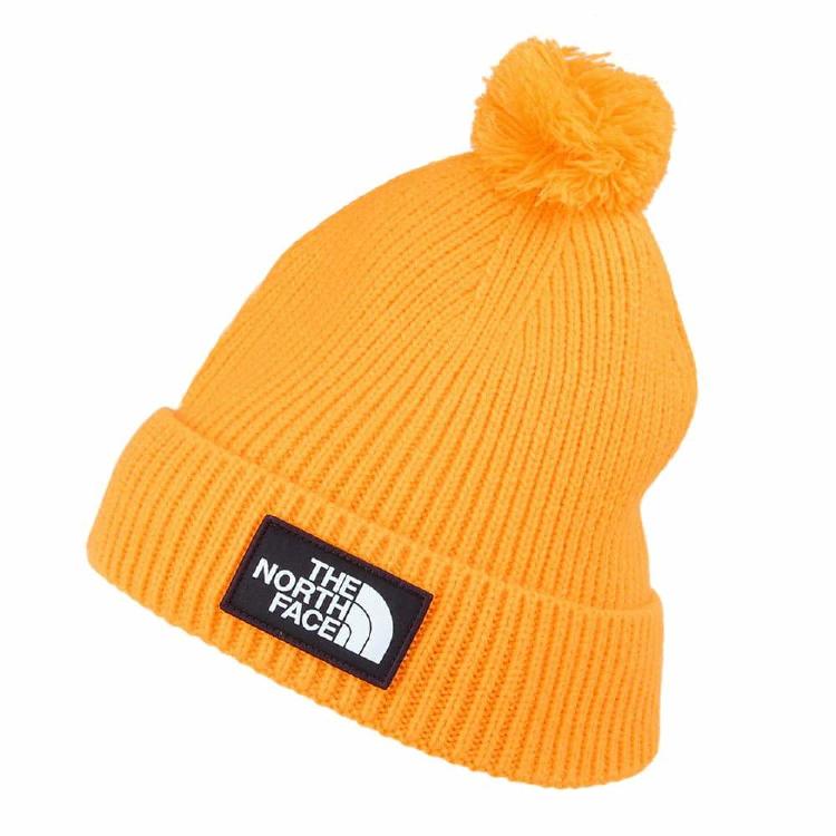 the north face the north face