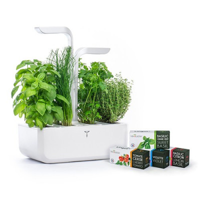classic-garden