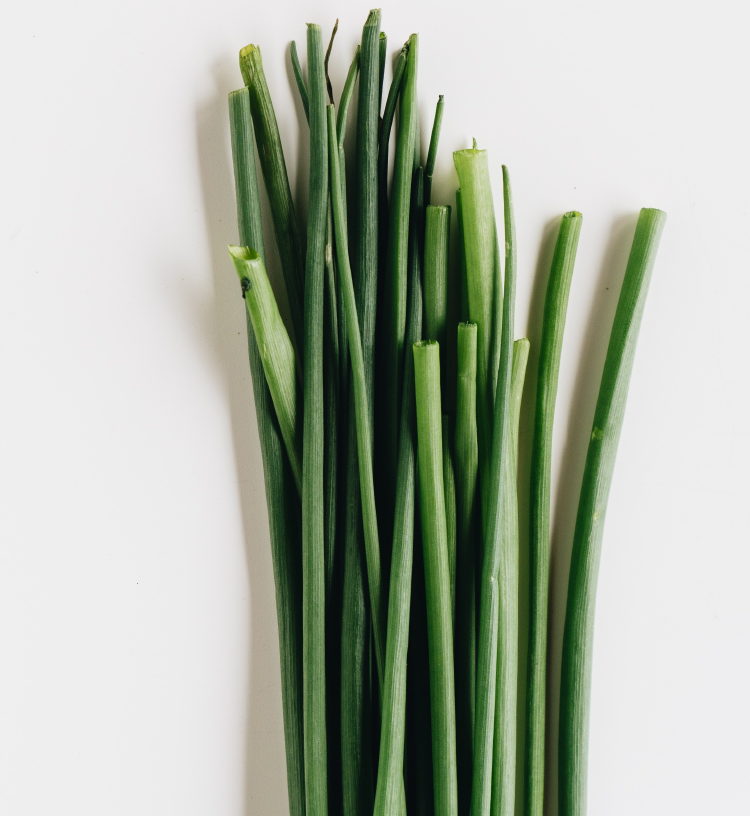 pexels-alleksana-4113894 pexels-alleksana-4113894