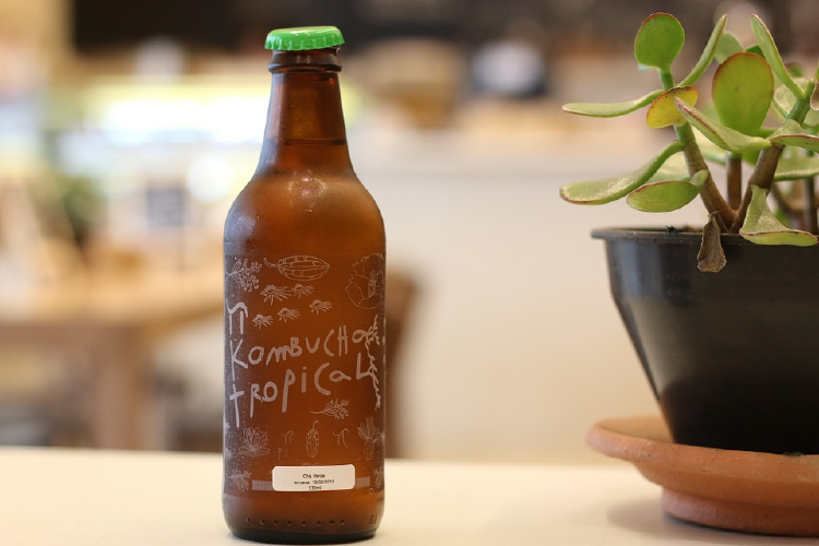 kombucha bottle of kombucha