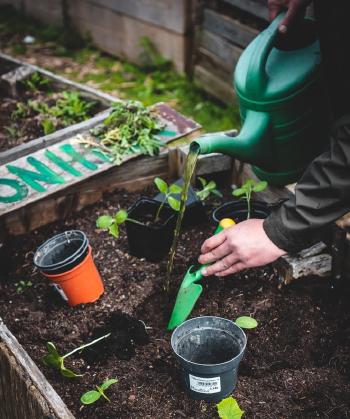 Have you ever heard about Liquid Compost? It's Leachate Compost 