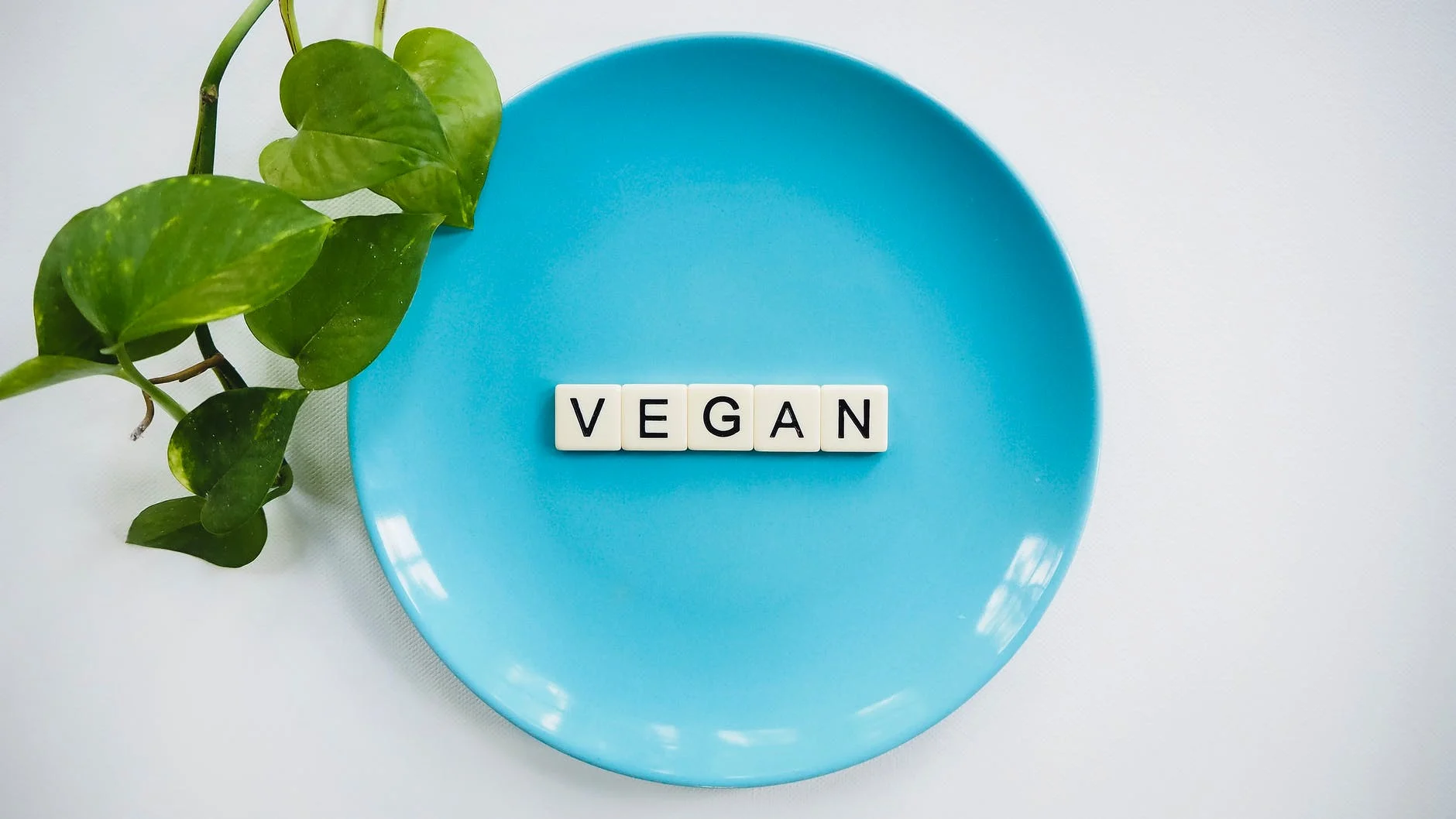 scrabble tiles speling vegan in blue ceramic plate