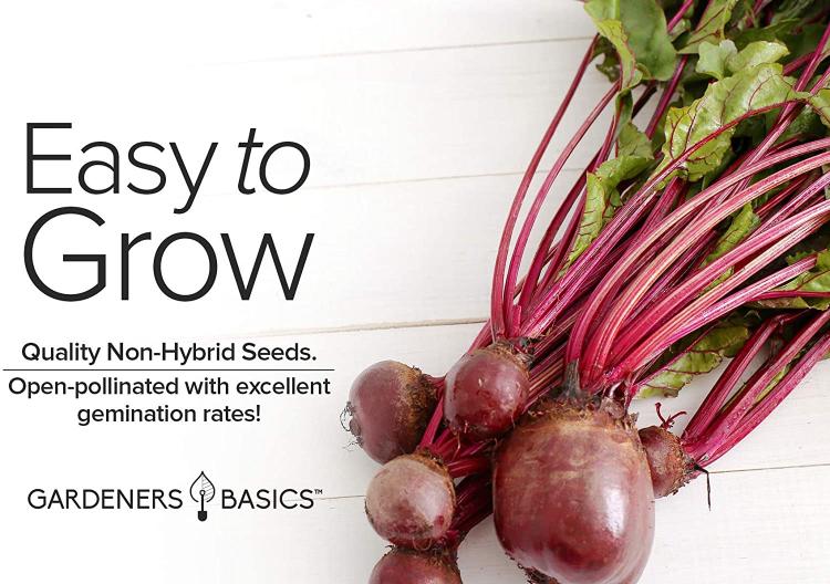 716EM+Yoj5L._AC_SL1500_ 716EM+Yoj5L._AC_SL1500_