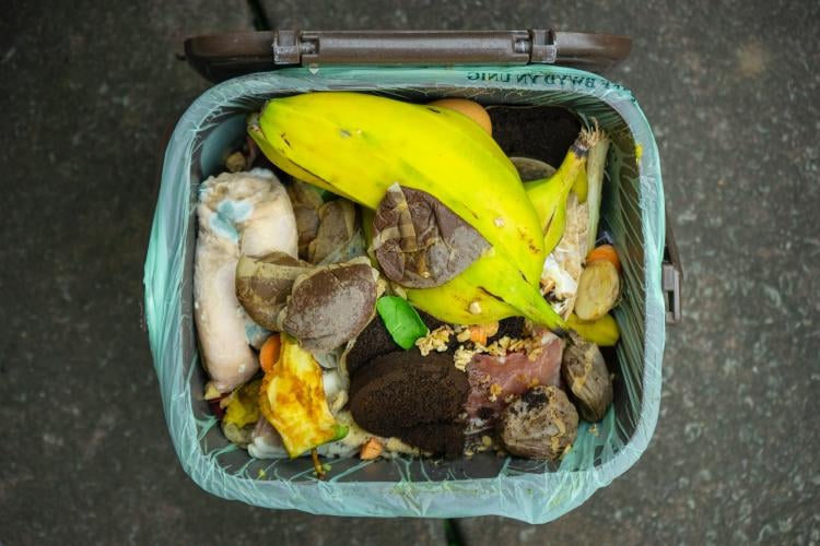 a compost bin full a compost bin full