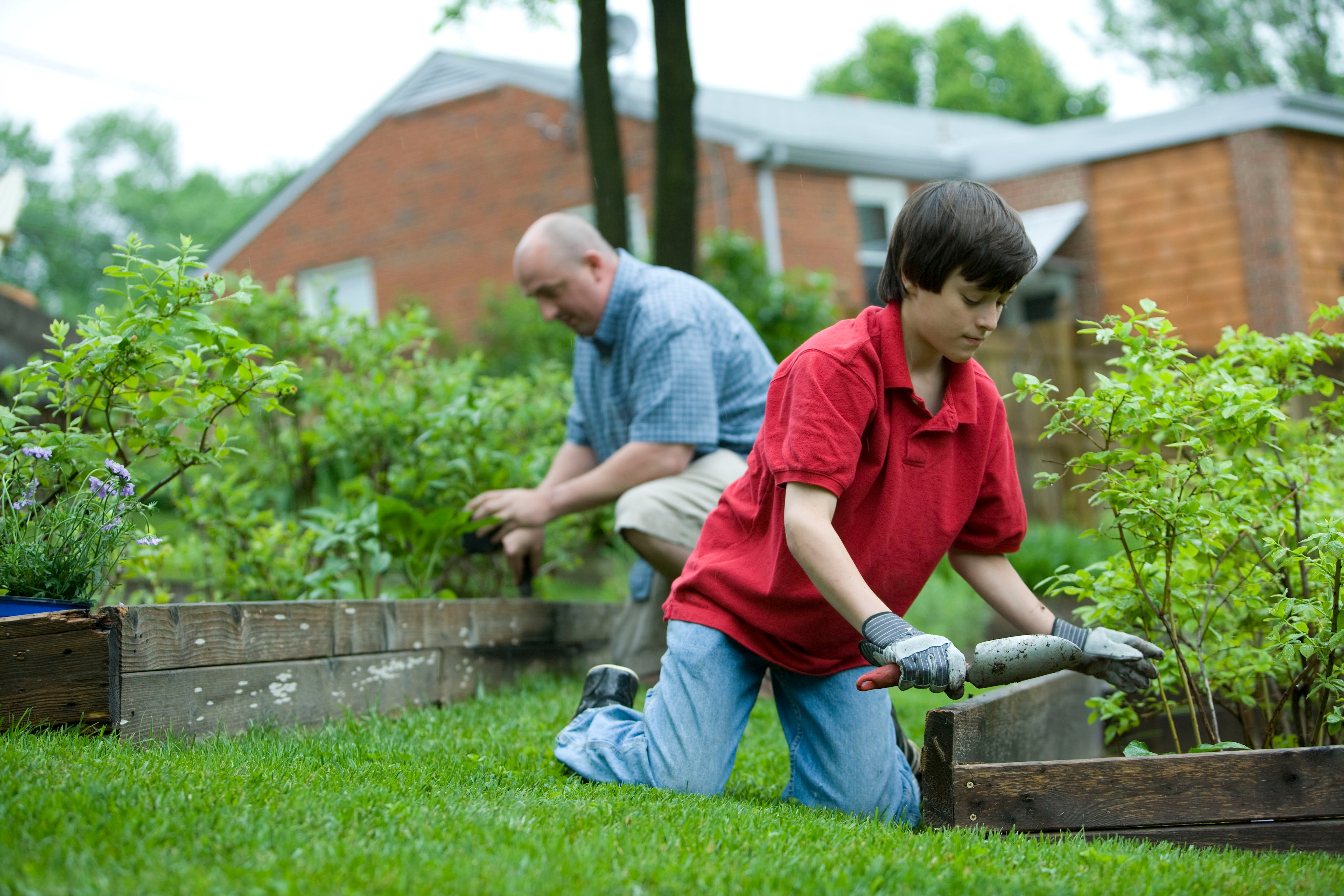 A man and a boy working on a garden
