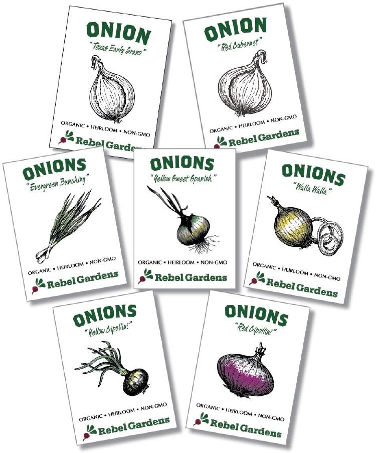 71x9V1C++jL._AC_SL1200_ 71x9V1C++jL._AC_SL1200_