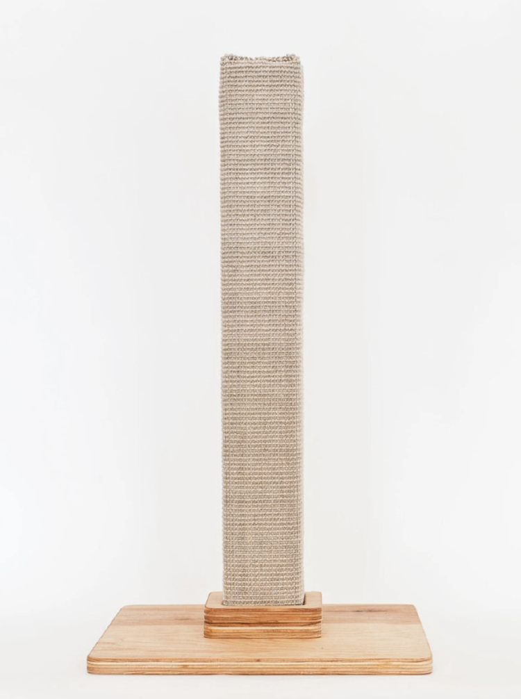 Captura de pantalla 2022-01-30 a la(s) 21.07.39 cat