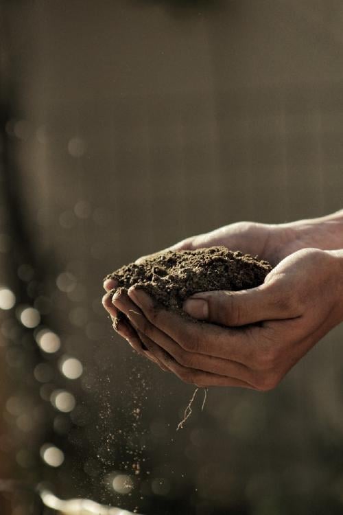 hands full of soil