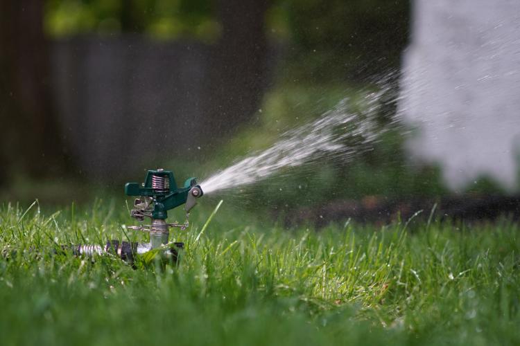 sprinkler system on a green lawn