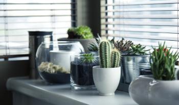 Glass, ceramic and metal pots.