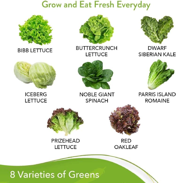 71x3avYrMiS._AC_SL1500_ 71x3avYrMiS._AC_SL1500_