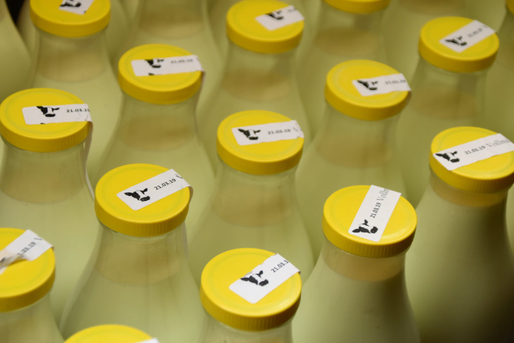 milk yellow bottle lot