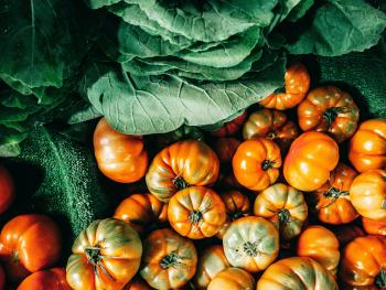 10 Fall Vegetables to Easily Grow at Home, for Beginners