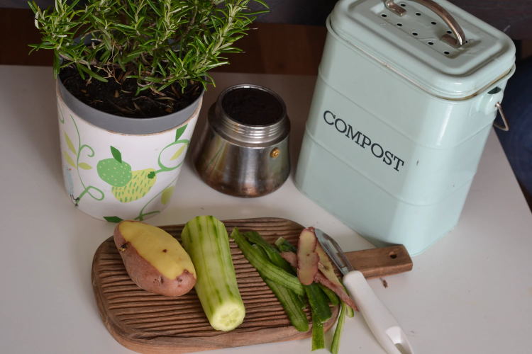 veggies next to a compost bin