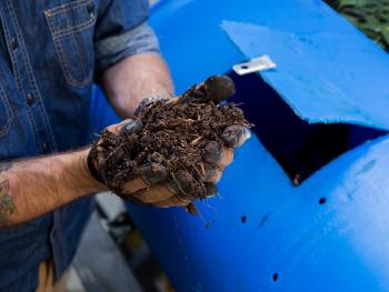 Compost Tumbler vs Bin: Find Out the Pros and Cons