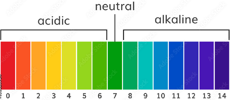 1000_F_168328930_Qwa6iZpnGesQHvI77uDKJGEKaerd8ENP 8
