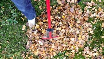 How to make a Compost Pile? All you need to know about it