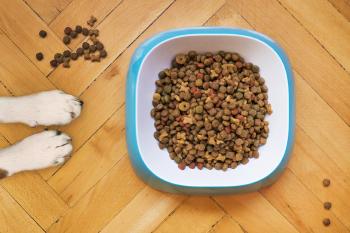 Organic Dog Food: Healthy Options for Our Furry Friends