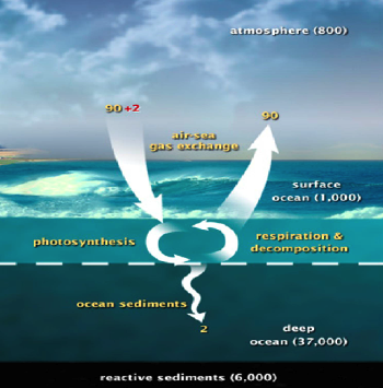 hydrosphere last step