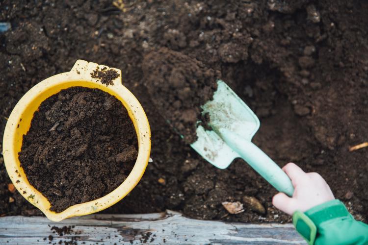 a person gardening a person gardening