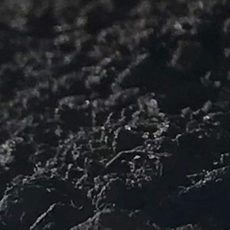 51PvlsPcpWL._AC_SL1000_  Wakefield organic humus.