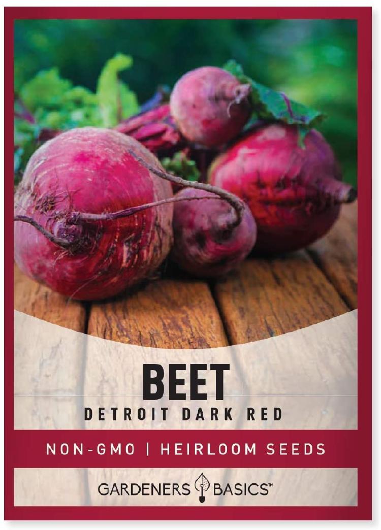 61thCIOD+7L._AC_SL1200_ 61thCIOD+7L._AC_SL1200_