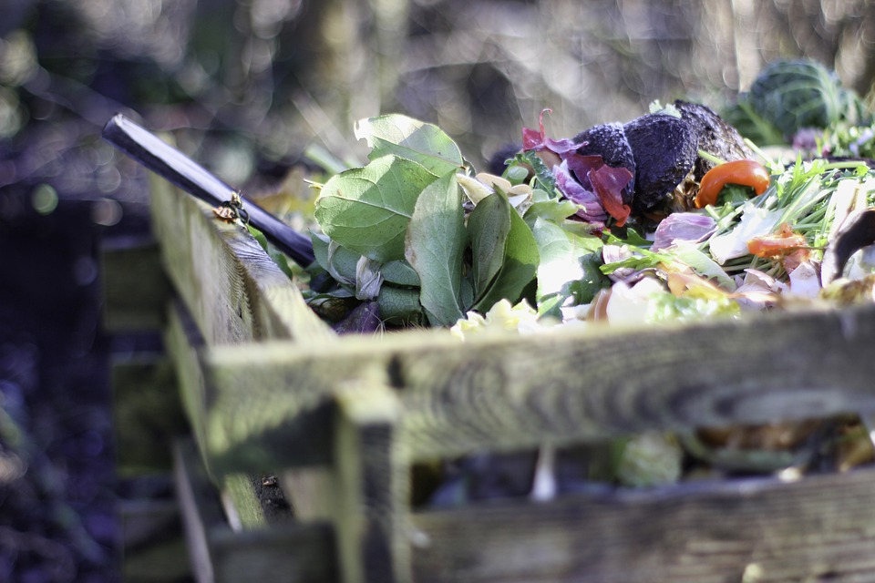 What Can Be Composted? A Complete List of Things You Can Compost