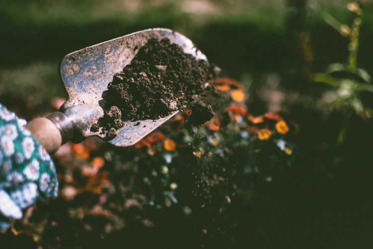 person digging out soil using garden shovel