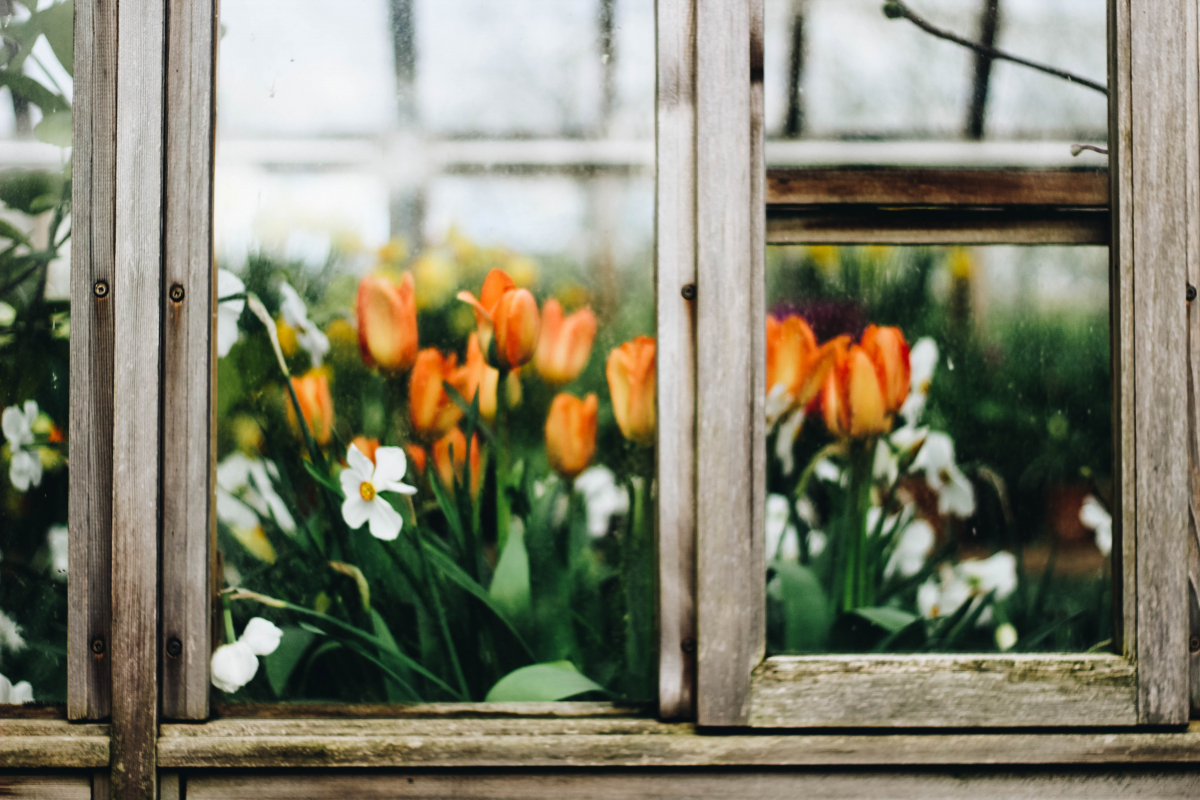 Window Garden + Double Veg Ledge Suction Cup Window Shelf