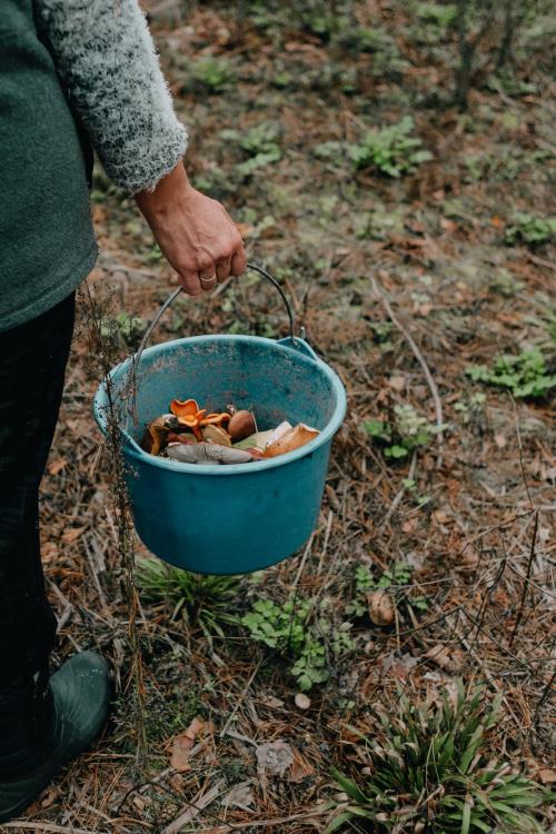 The Perfect Compost Ratio: Greens to Brown Balance | Sustainable Warriors