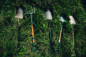 When should I turn my compost pile? All you need to know about it
