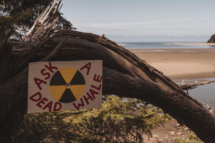 dan-meyers-p4dLYHuuI-U-unsplash dan-meyers-p4dLYHuuI-U-unsplash