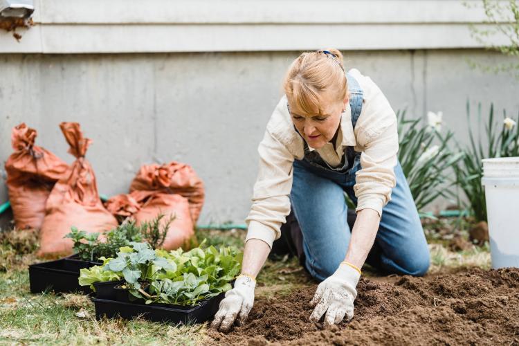 a woman working in the garden a woman working in the garden