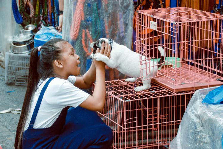 A girl holding a puppy that is comming out of a cage