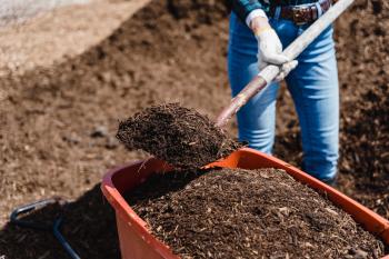 brown soil in orange bucket