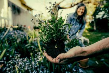 10 Tips and Tricks on how to start a Sustainable Garden