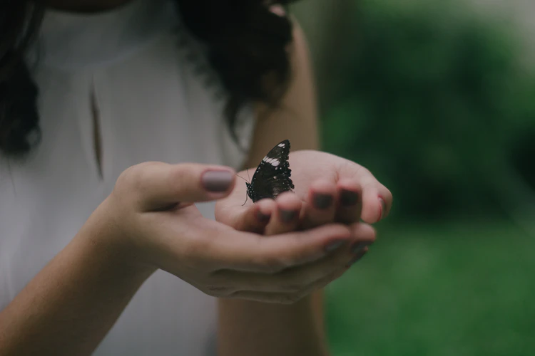 woman holding a black butterfly on her hands