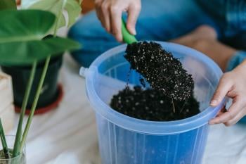 Organic Fertilizer: Take Care of your Plants with these Products