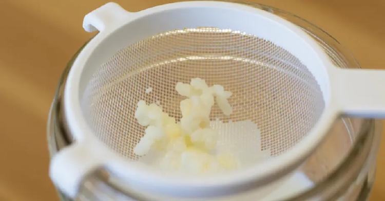 image kefir grains on a drier